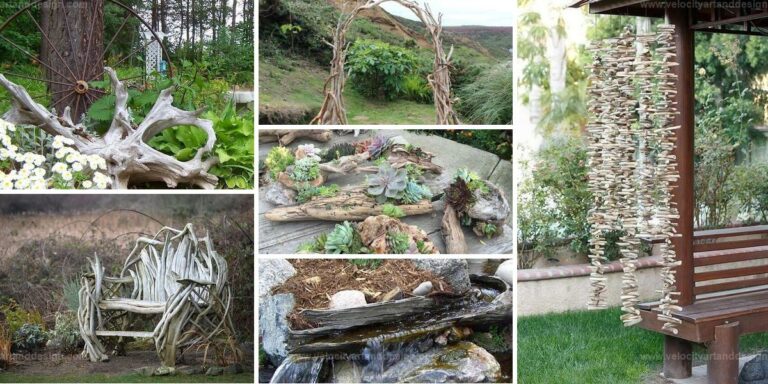 Best Driftwood Garden Projects