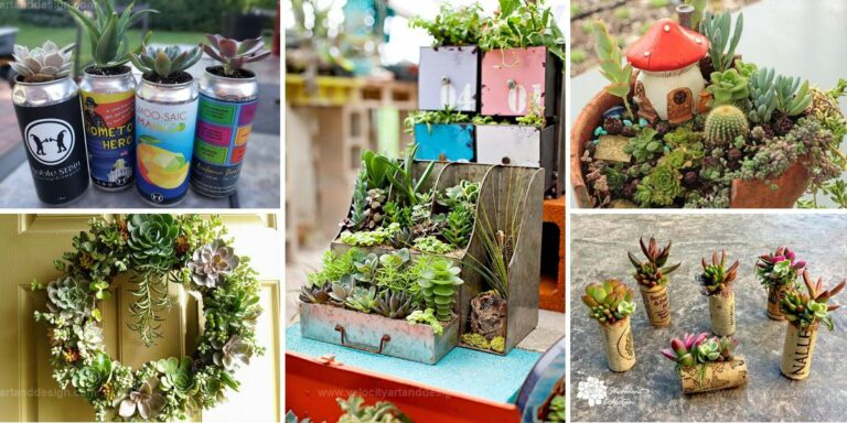 Best DIY Succulent Planter Ideas