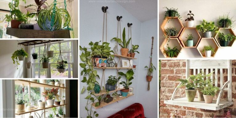 Best DIY Upcycled Plant Shelf Projects