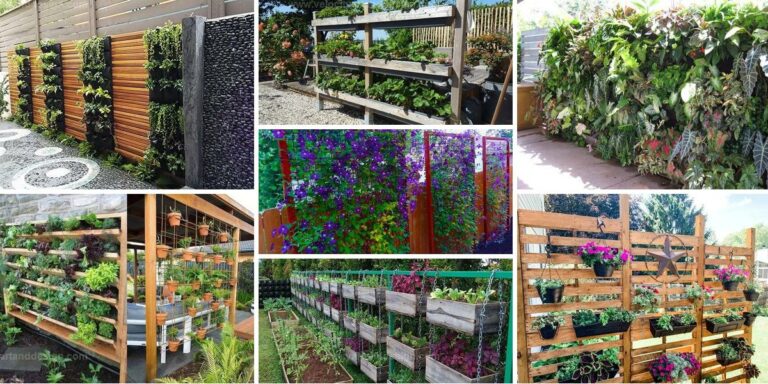 Best Vertical Gardens