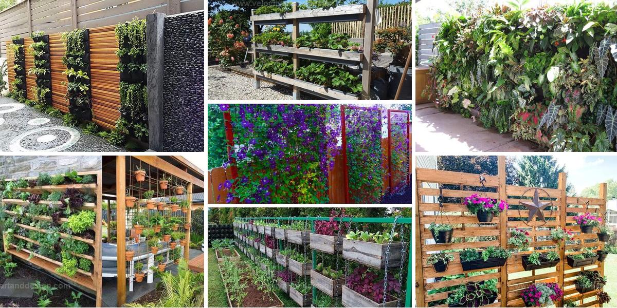 Best Vertical Gardens