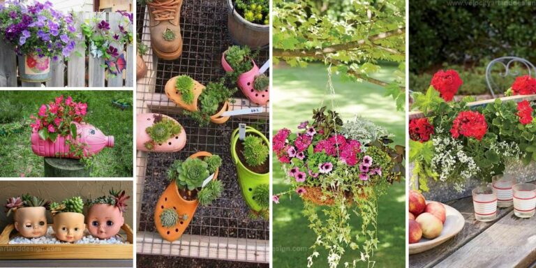 Best Garden Containers