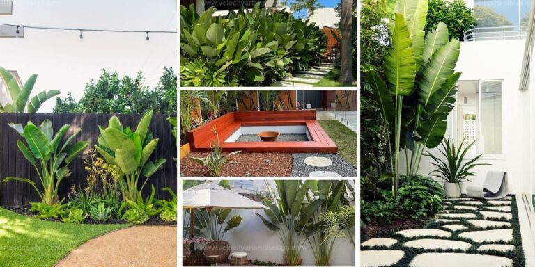 Best Tropical-Inspired Backyard Ideas