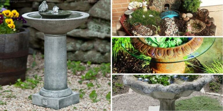 Best Old Birdbath Uses for Your Garden