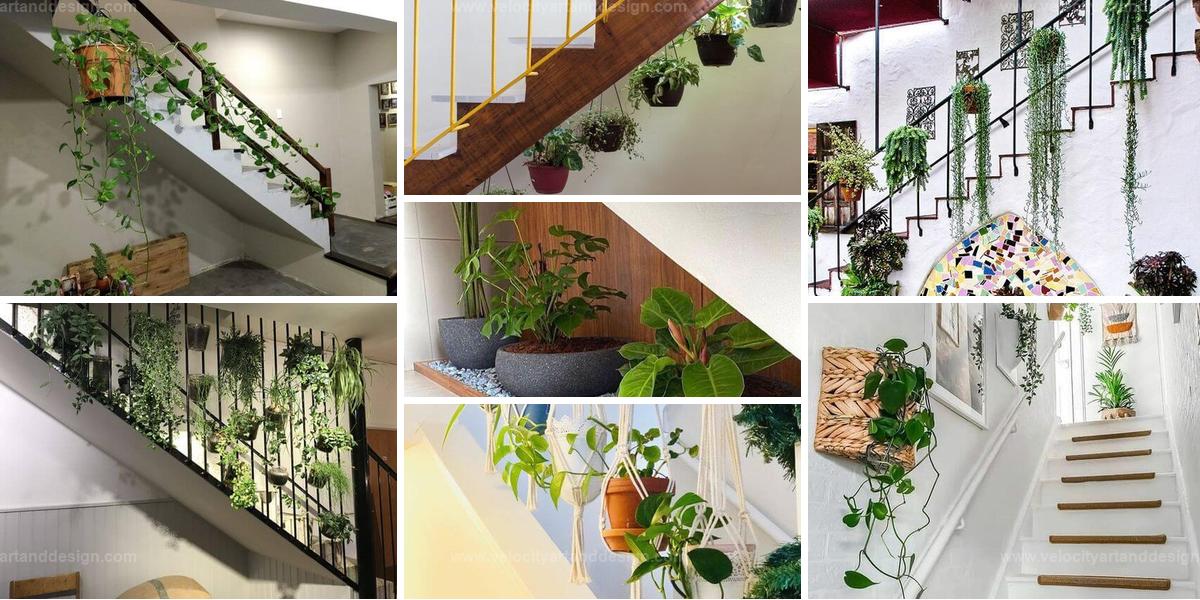 Best Staircase Plant Decoration Ideas