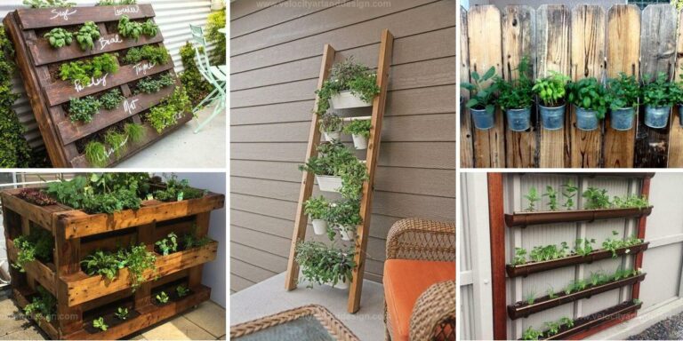 Best DIY Outdoor Herb Planters