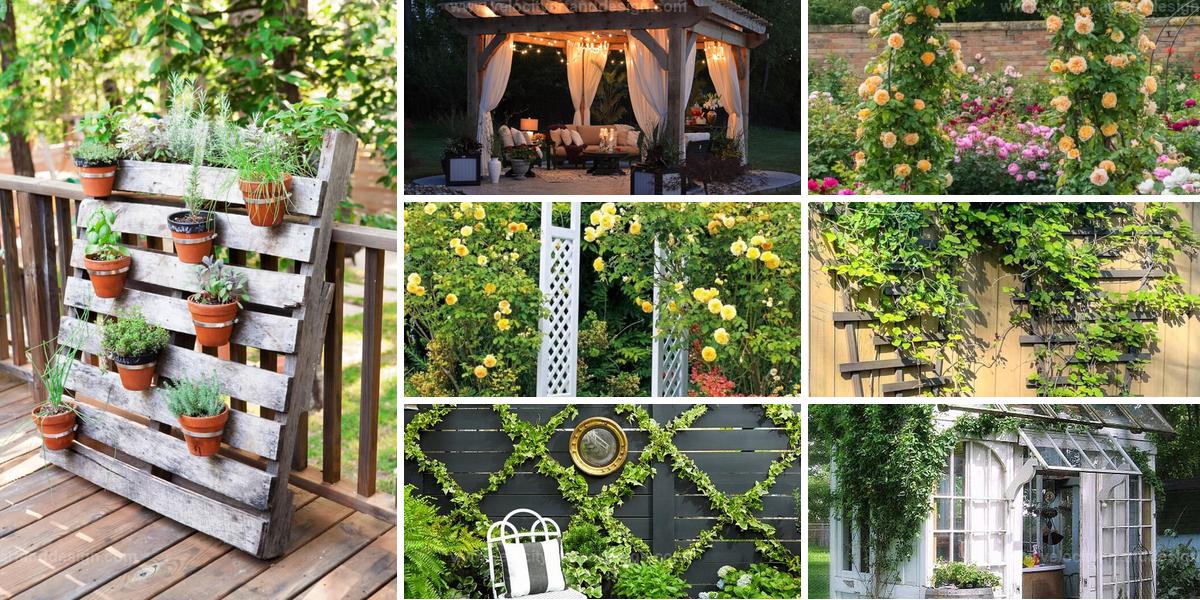 Top DIY Garden Design Ideas