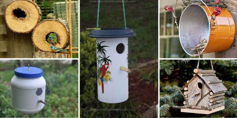 Top DIY Birdhouse Ideas