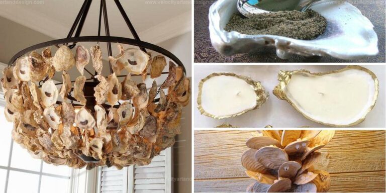 Top Ways to Repurpose Oyster Shells at Home