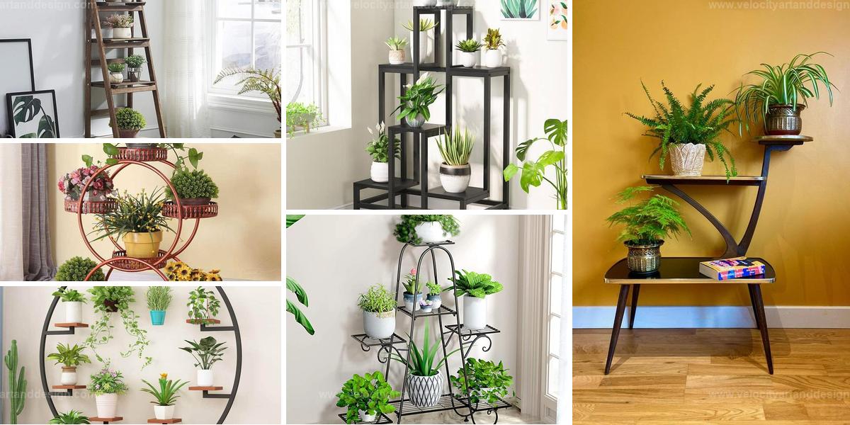 Best Plant Stands