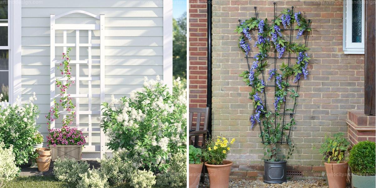 Best Trellis Landscape Secrets