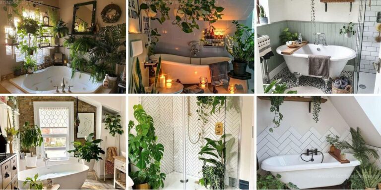 Best Bathroom Plant Setup Ideas