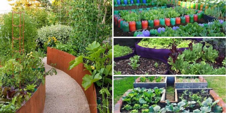 Best DIY Raised Garden Beds