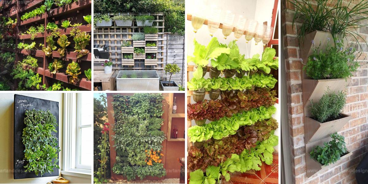 Best Edible Living Wall Ideas