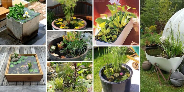 Top Container Pond Ideas