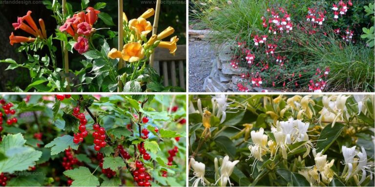 Top Plants That Need Winter Pruning