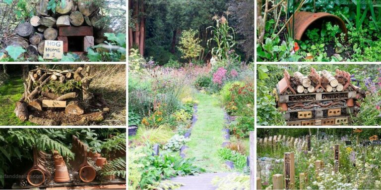 Best Wildlife-Friendly Garden Ideas