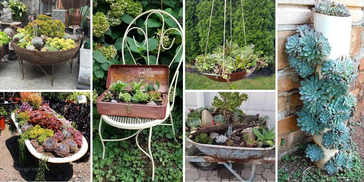 Top Upcycled Succulent Planter Projects