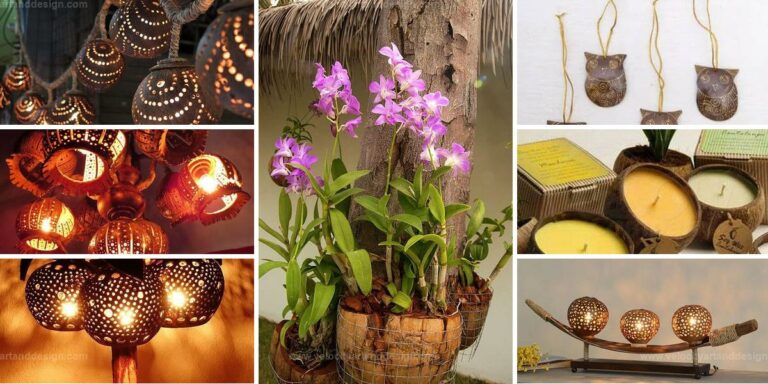 Best DIY Coconut Shell Projects