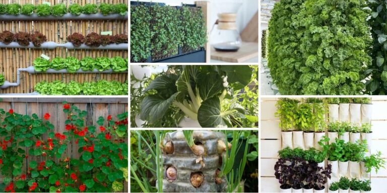 Best Green Vegetables for Vertical Gardens