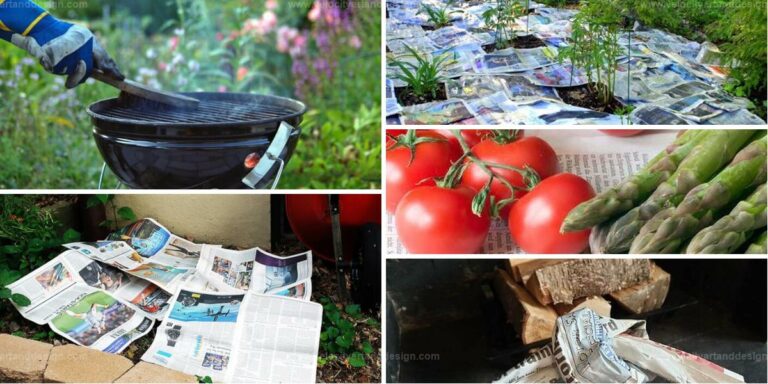 Top Newspaper Garden Ideas