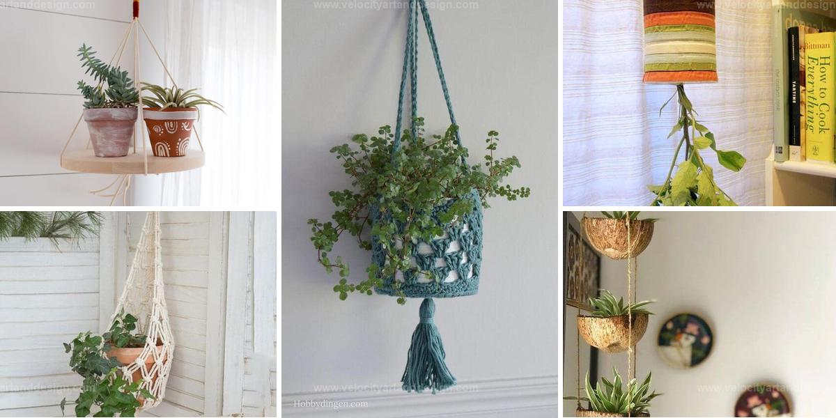 Top DIY Hanging Planters