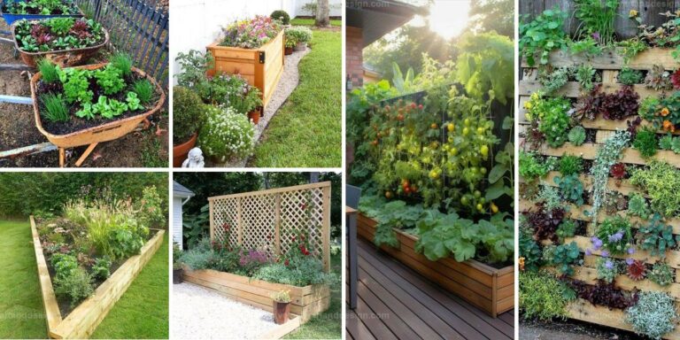 Best Raised Garden Bed Designs