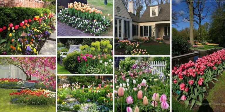 Best Tulip Garden Inspirations for a Vibrant Landscape