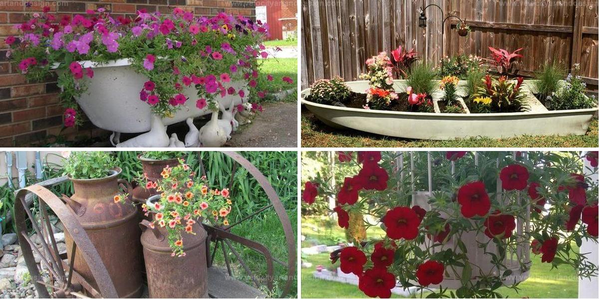 Best Flower Planter Ideas