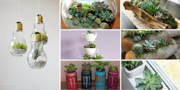 Top DIY Indoor Planters