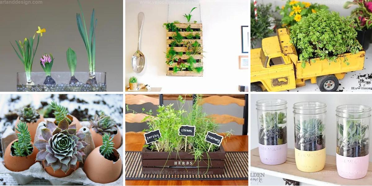 Top Creative DIY Indoor Garden Ideas