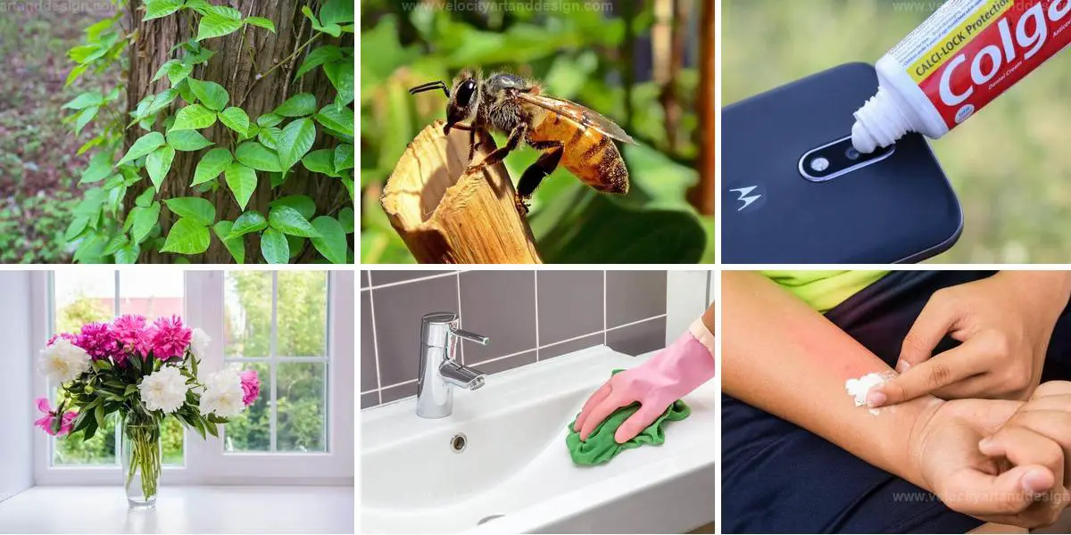 Top Uses of Toothpaste for Garden and Home