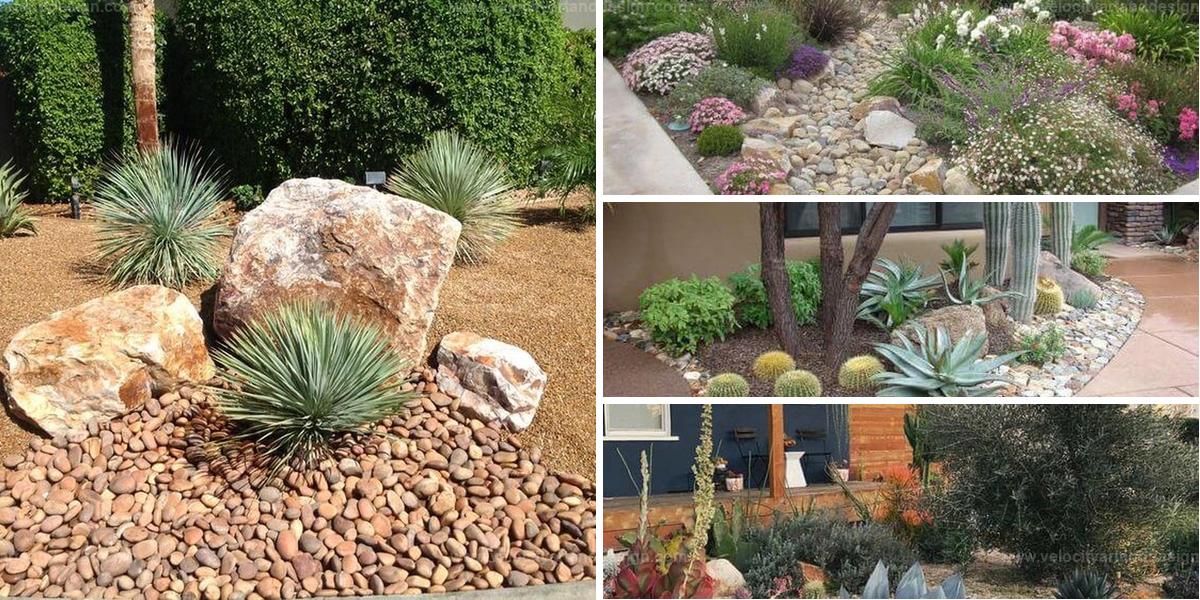 Best Desert Landscaping Ideas for Stunning Yards