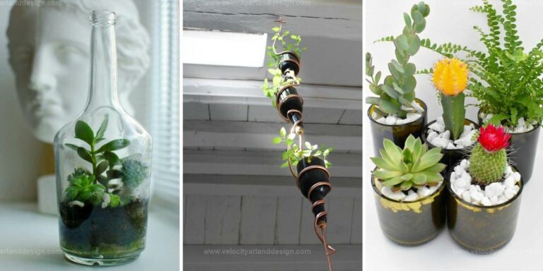 Best DIY Bottle Garden Ideas