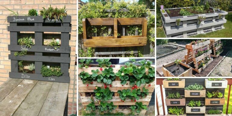 Best Pallet Recycling Ideas for Your Garden