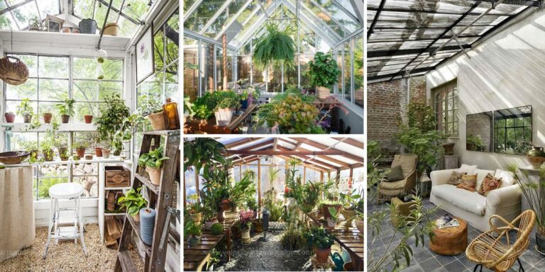 Best Greenhouse Concepts