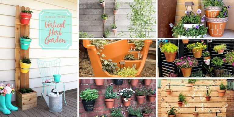 Top Terra Cotta Pot Projects