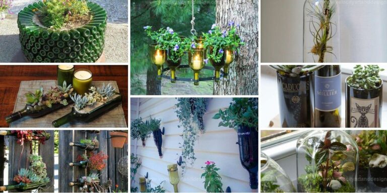 Top Glass Bottle Planters