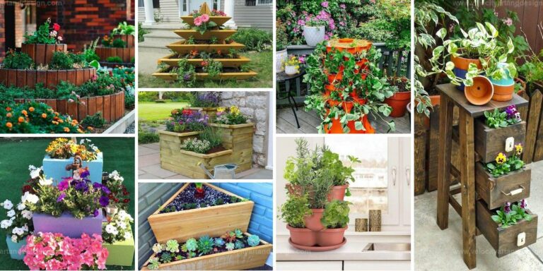 Best Tiered Planter Ideas