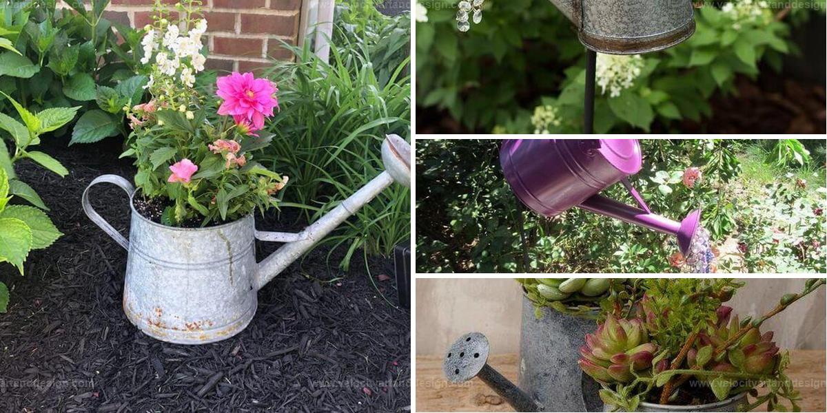 Best DIY Reusing Watering Can Ideas