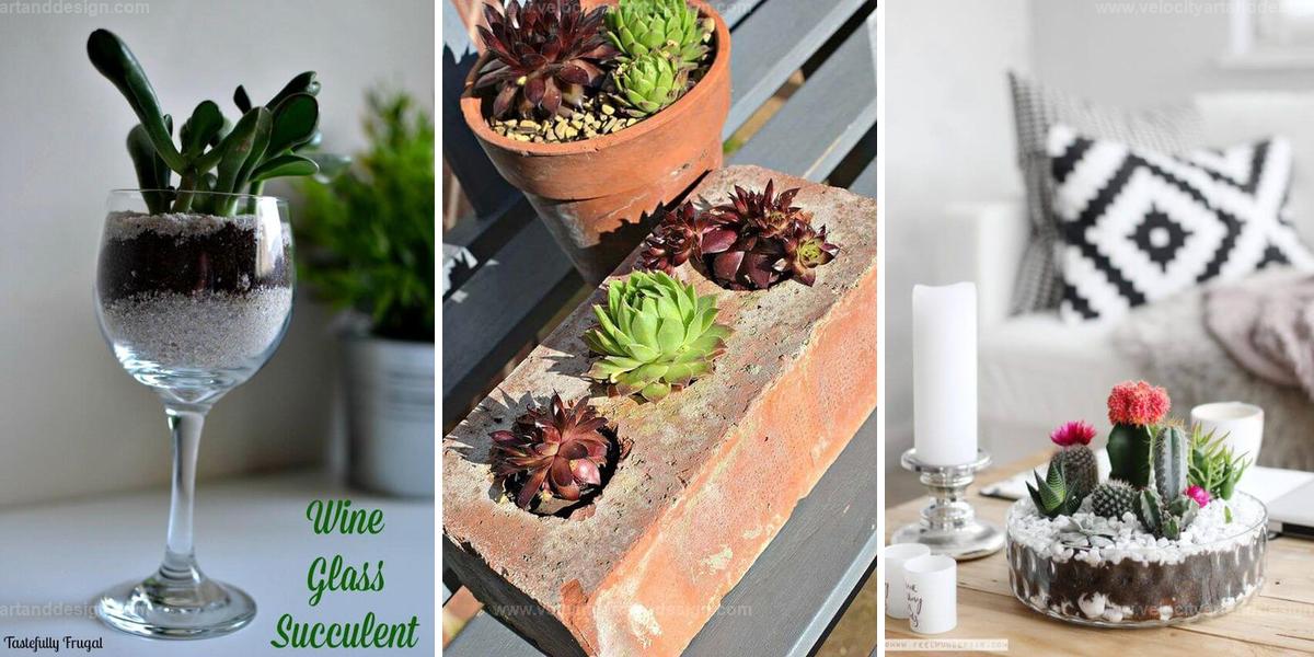 Top Mini Garden Ideas