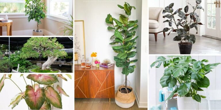 Top Faux Shape Houseplants