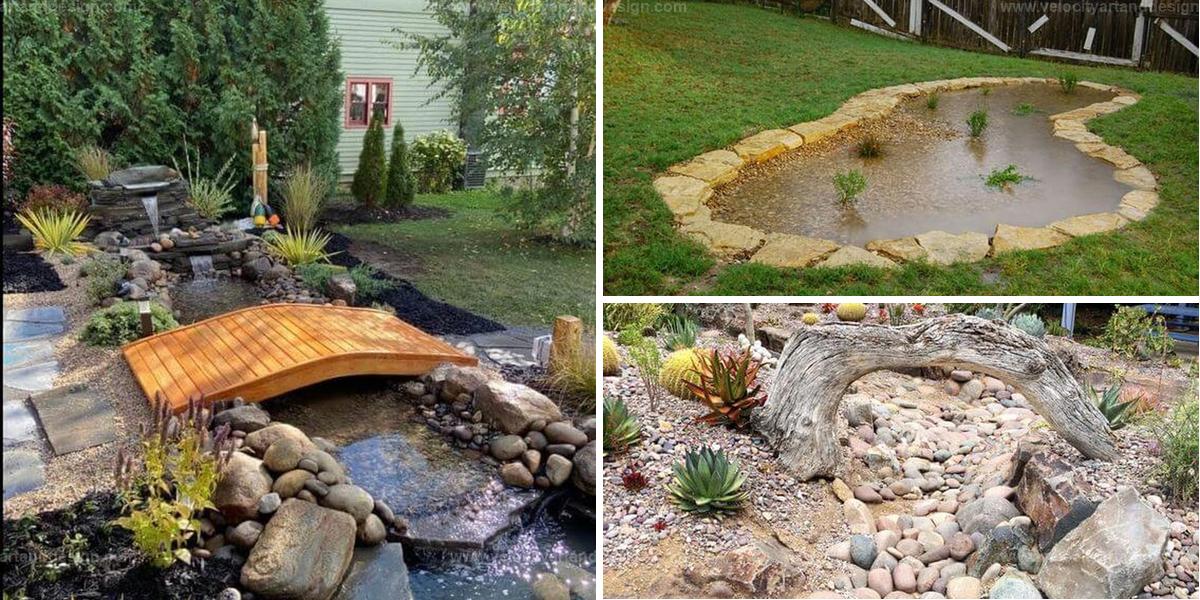 Best Rain Garden Ideas for Sustainable Yards