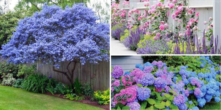 Best Flower-Style Garden Decorations