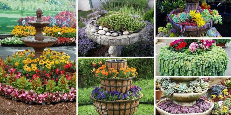 Top Recycles for Fountains and Bird Baths