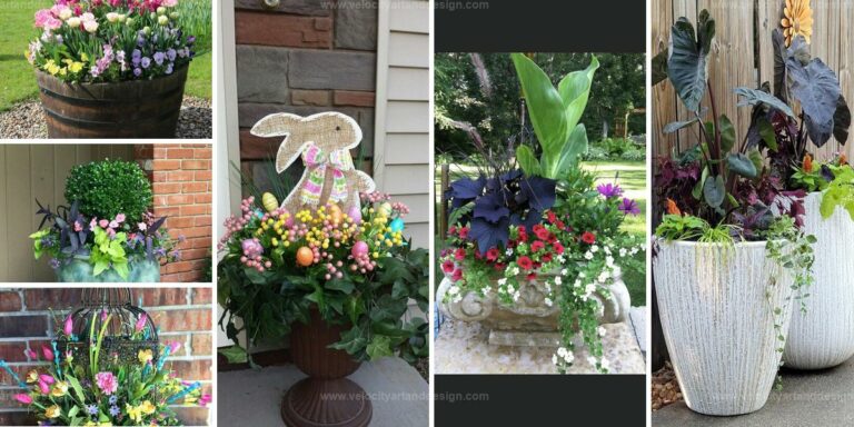 Top Planters for Spring Display