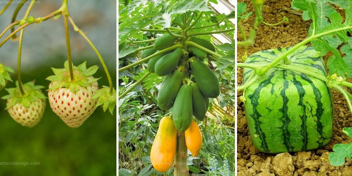 Top Unique Fruit Trees