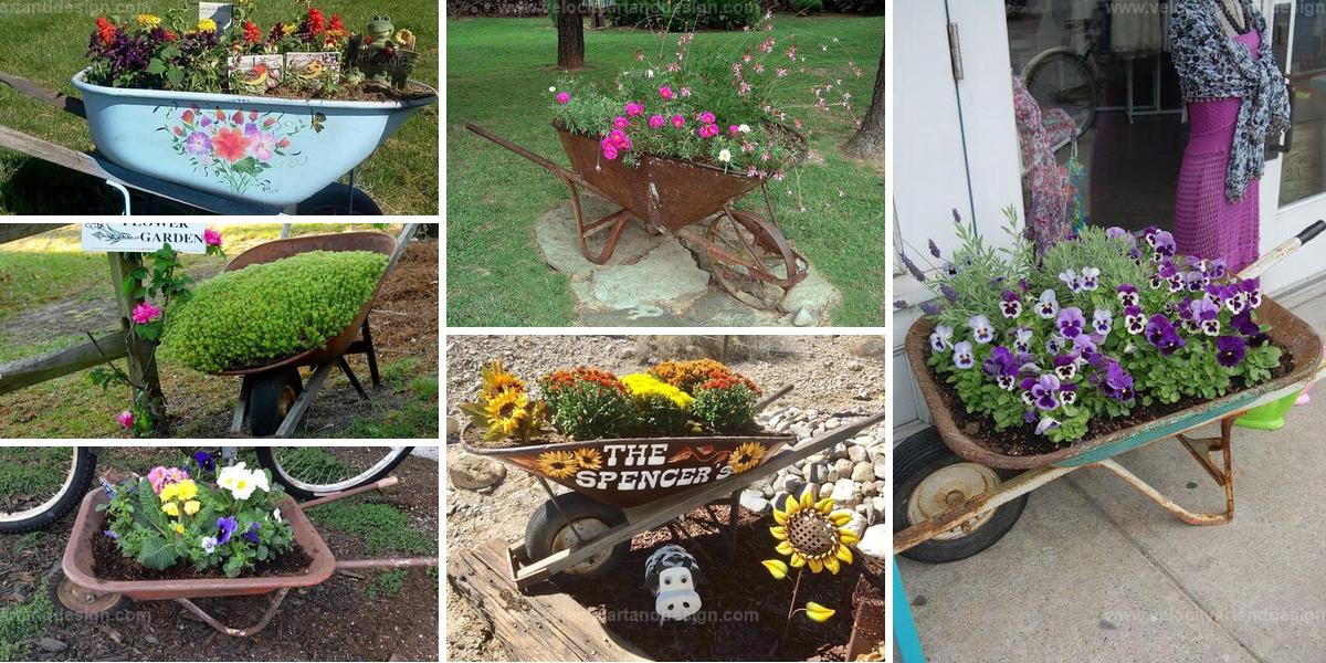 Top Wheelbarrow Planter Ideas