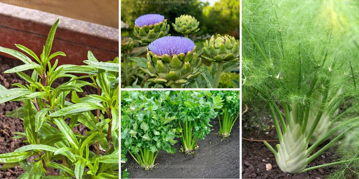 Top French Vegetables