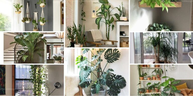 Best Indoor Plant Corner Ideas